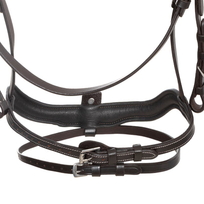 Equestro Anatomical bridle with curved noseband