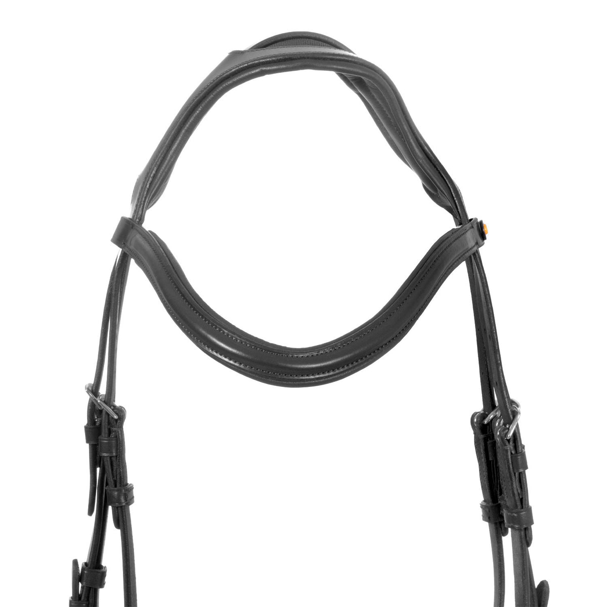 Equestro English bridle with anatomical noseband