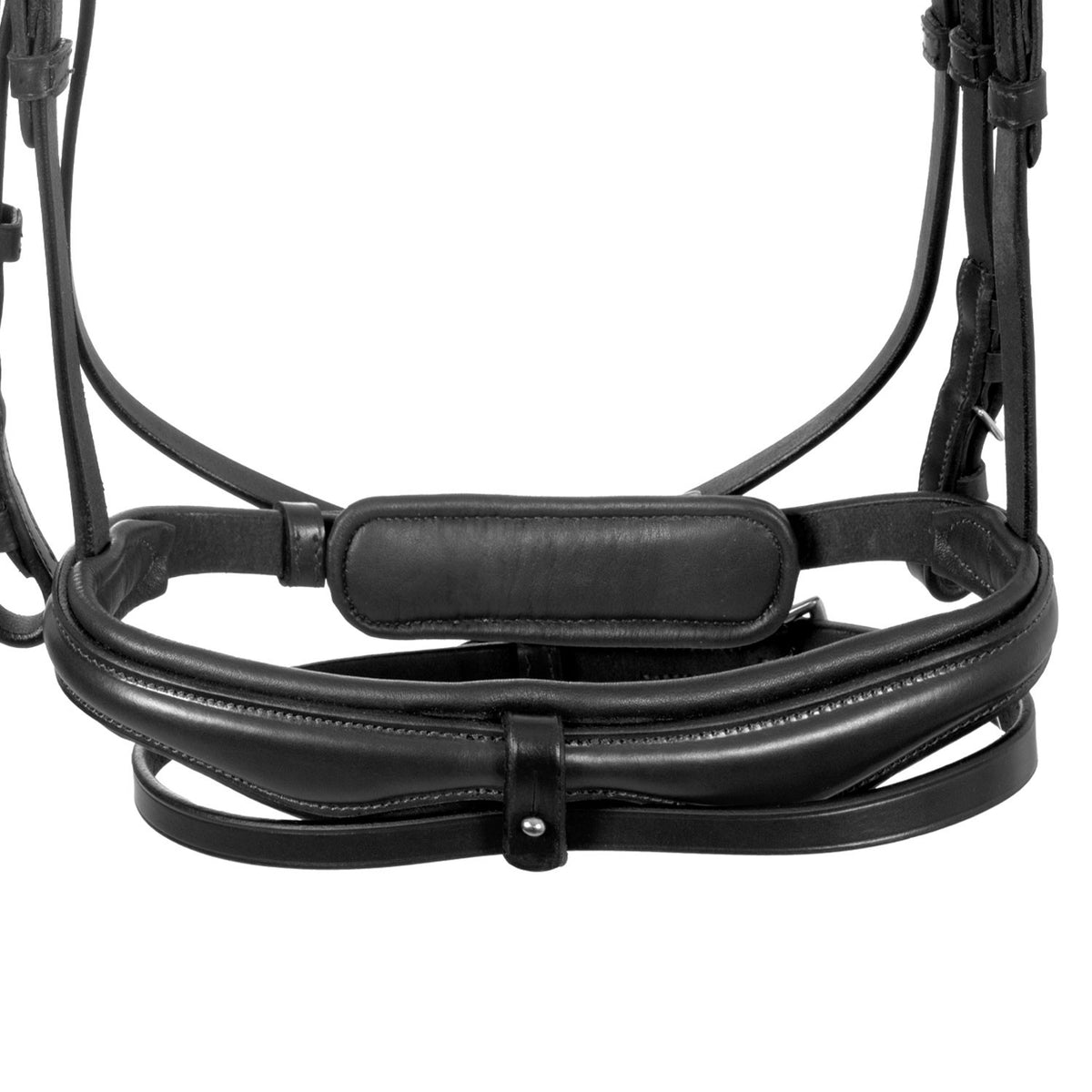 Equestro English bridle with anatomical noseband