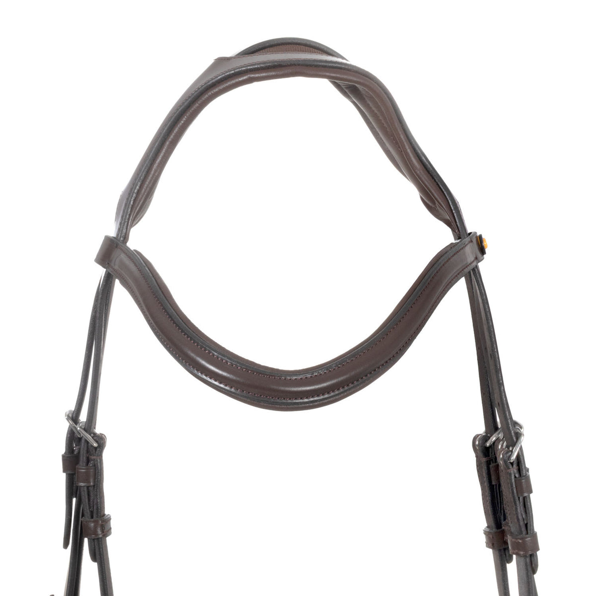 Equestro English bridle with anatomical noseband
