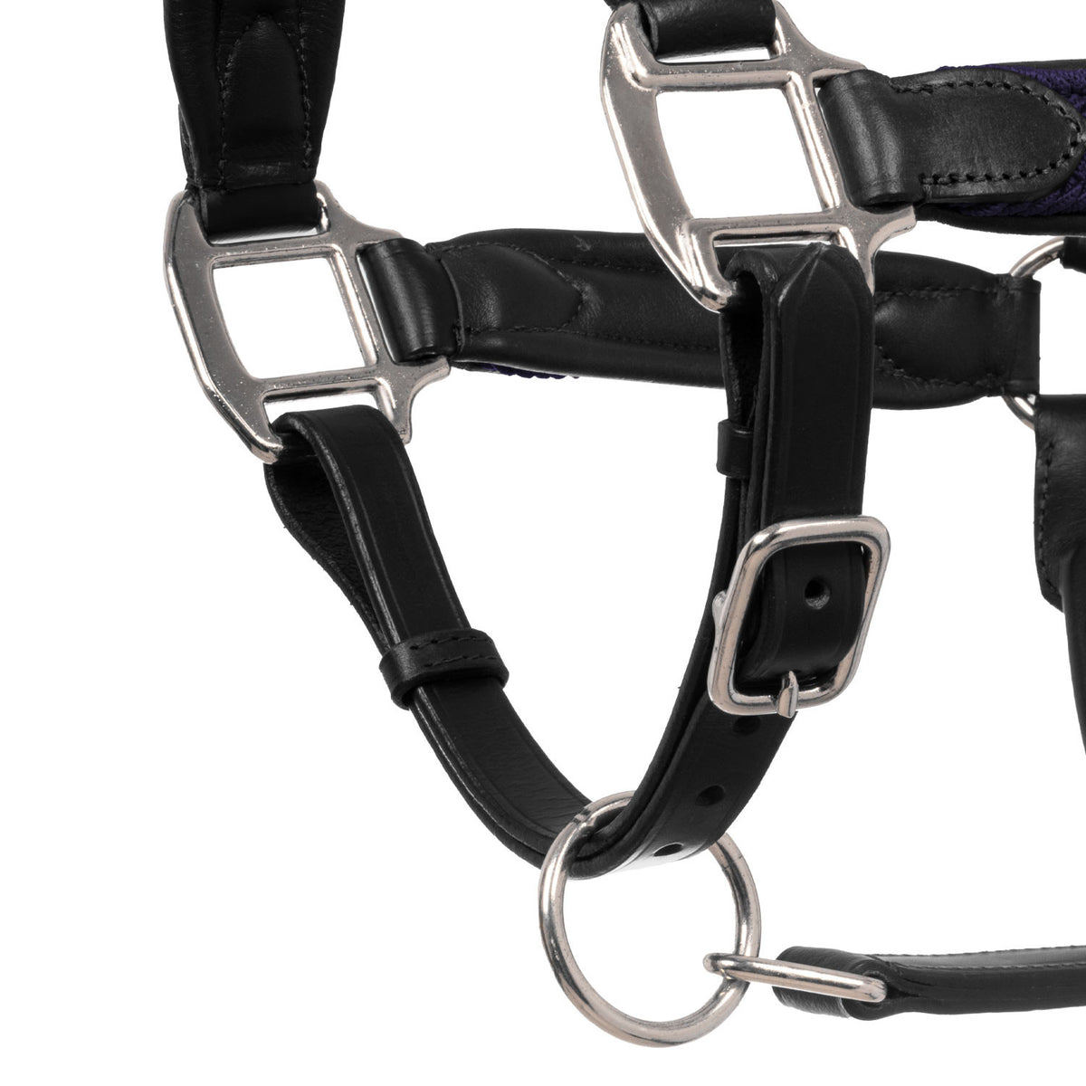 Equestro Leather halter with braided nylon inserts