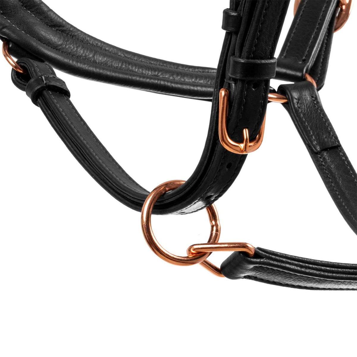 Equestro Polished leather halter with rose gold buckles