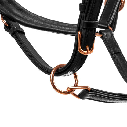 Equestro Polished leather halter with rose gold buckles
