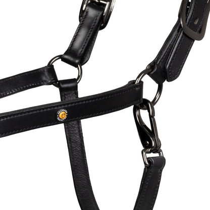 Equestro Leather halter with glittery piping