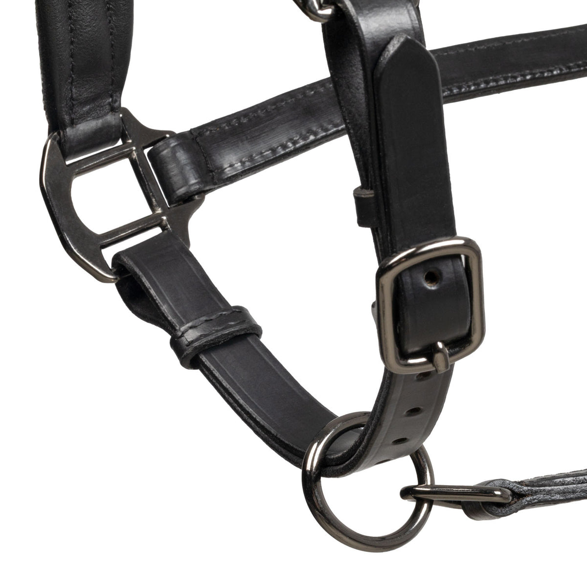 Equestro Leather halter with glittery piping