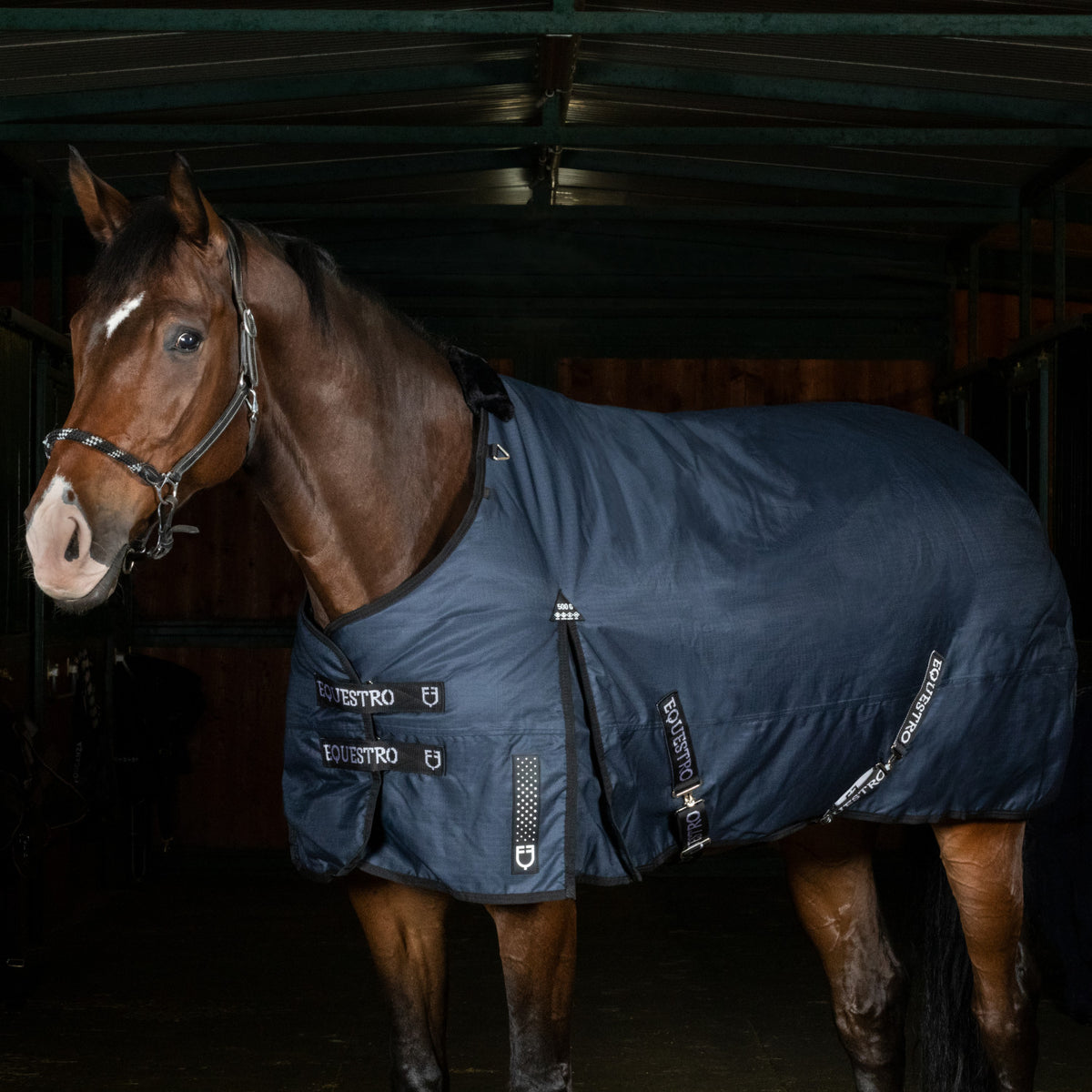 Equestro Alberta turnout rug in rip-stop fabric