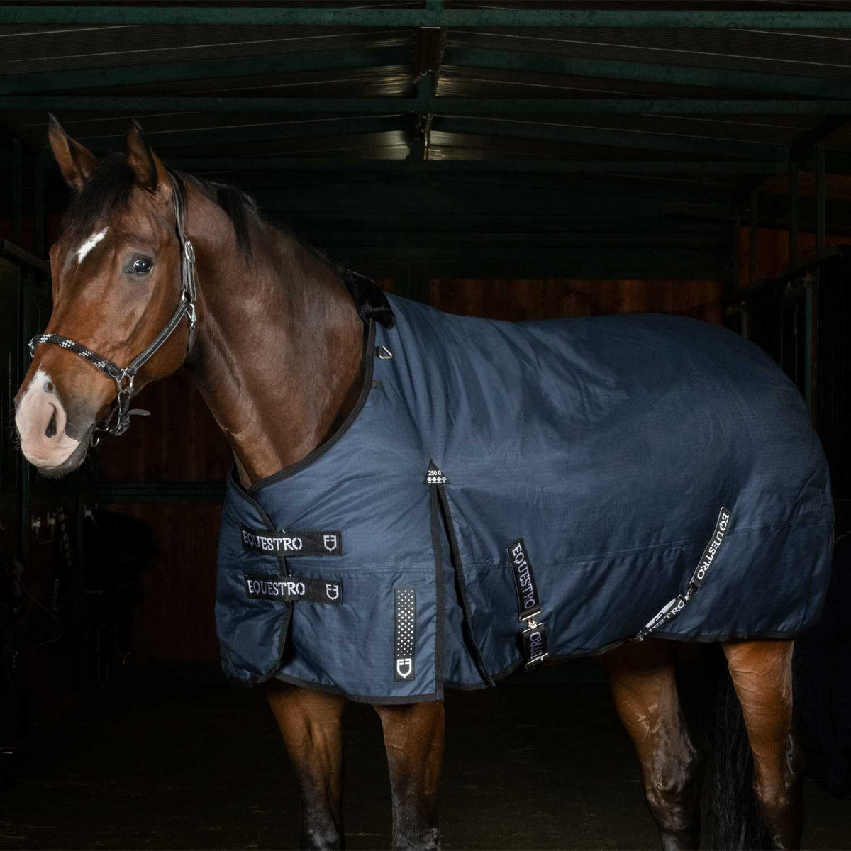 Equestro Nevada 250 gr turnout rug in rip-stop fabric