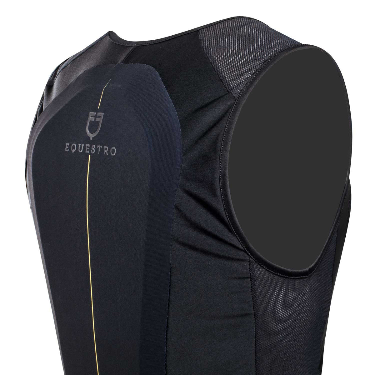 Equestro Unisex level 2 back protector padded chest