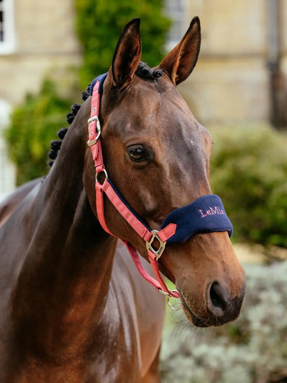 LeMieux AW25 Vogue Headcollar & Leadrope