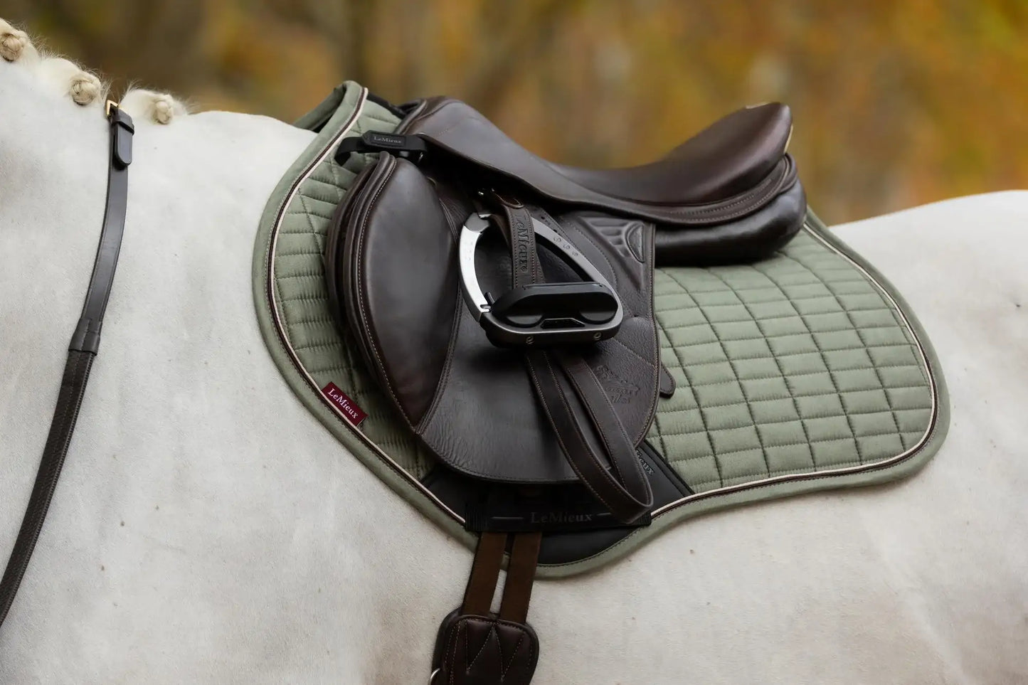 LeMieux AW25 Suede Close Contact Square