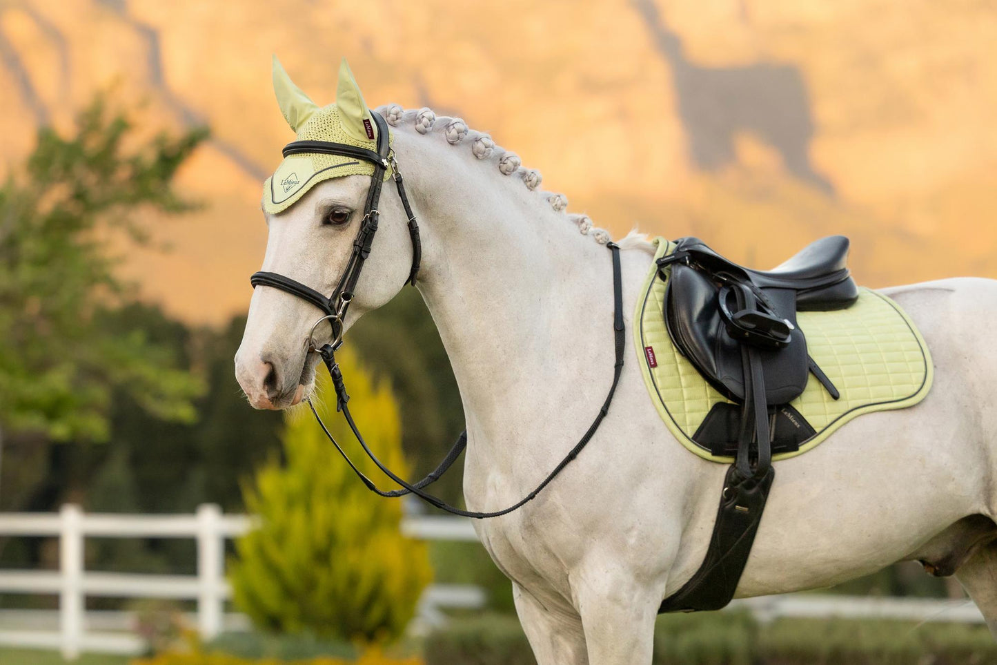 LeMieux SS26 Classic Fly Hood