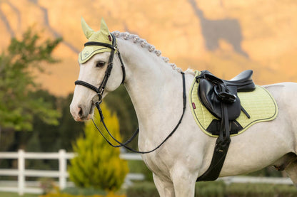 LeMieux SS26 Classic Fly Hood