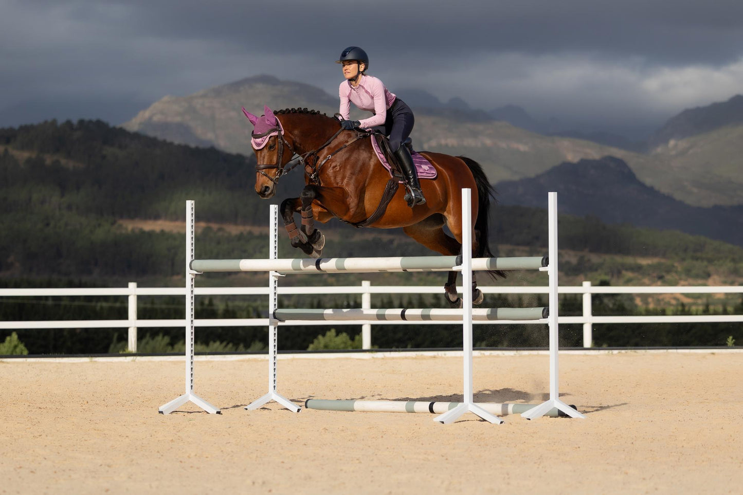 LeMieux SS26 Loire Classic Close Contact Square