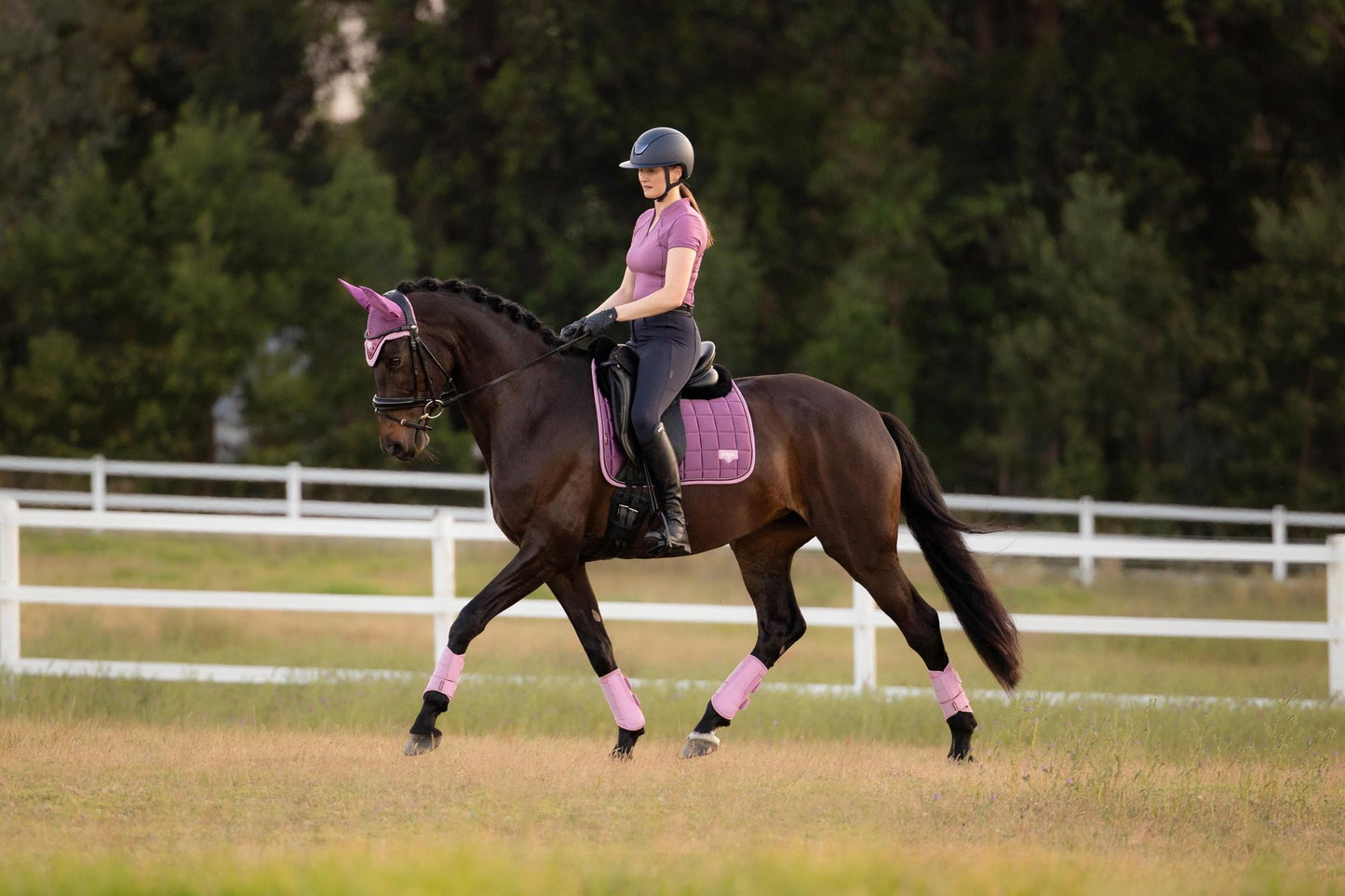 LeMieux SS26 Loire Classic Dressage Square