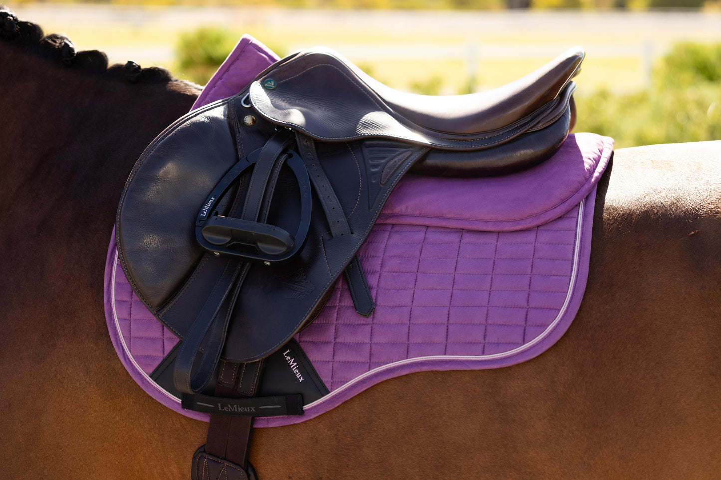 LeMieux SS26 Suede Half Pad