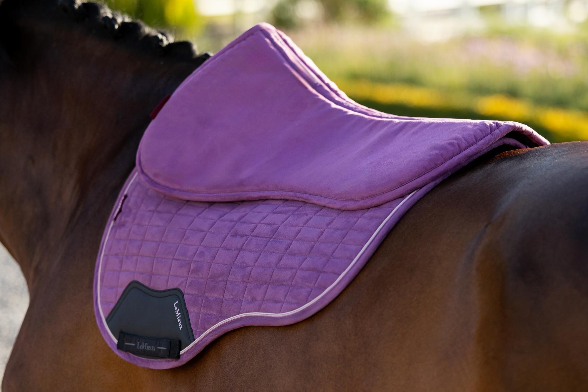 LeMieux SS26 Suede Half Pad