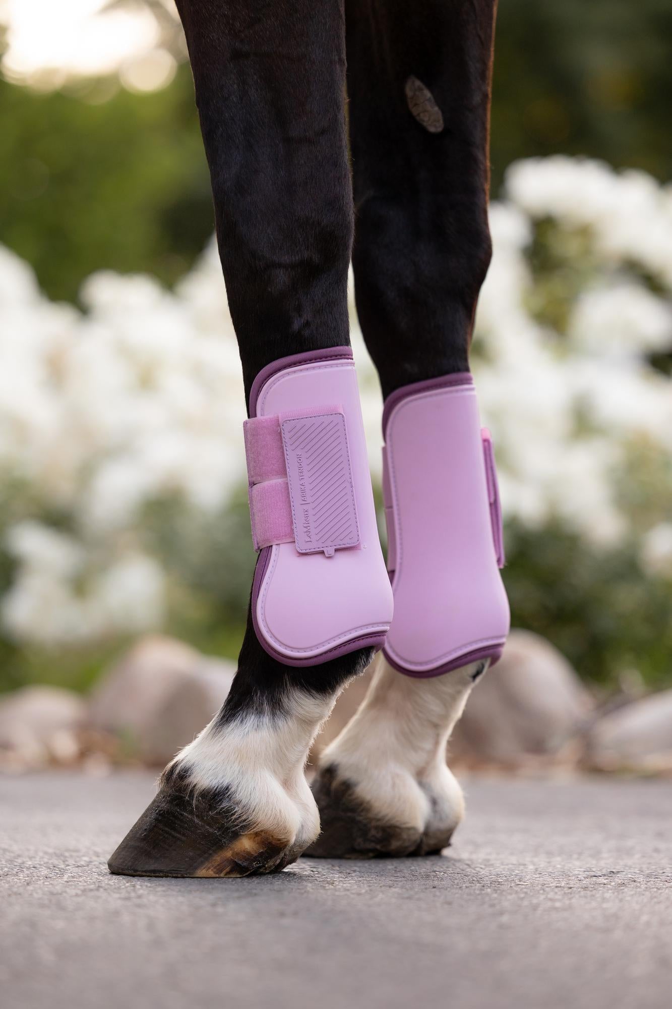 LeMieux SS26 Arika Tendon Boot