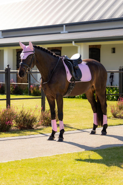 LeMieux SS26 Essence Dressage Square