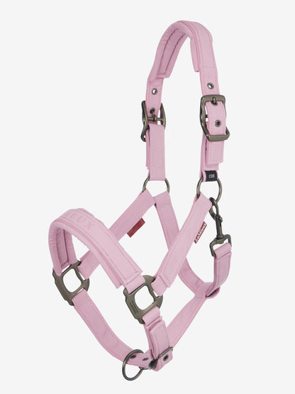 LeMieux SS26 Essence Headcollar