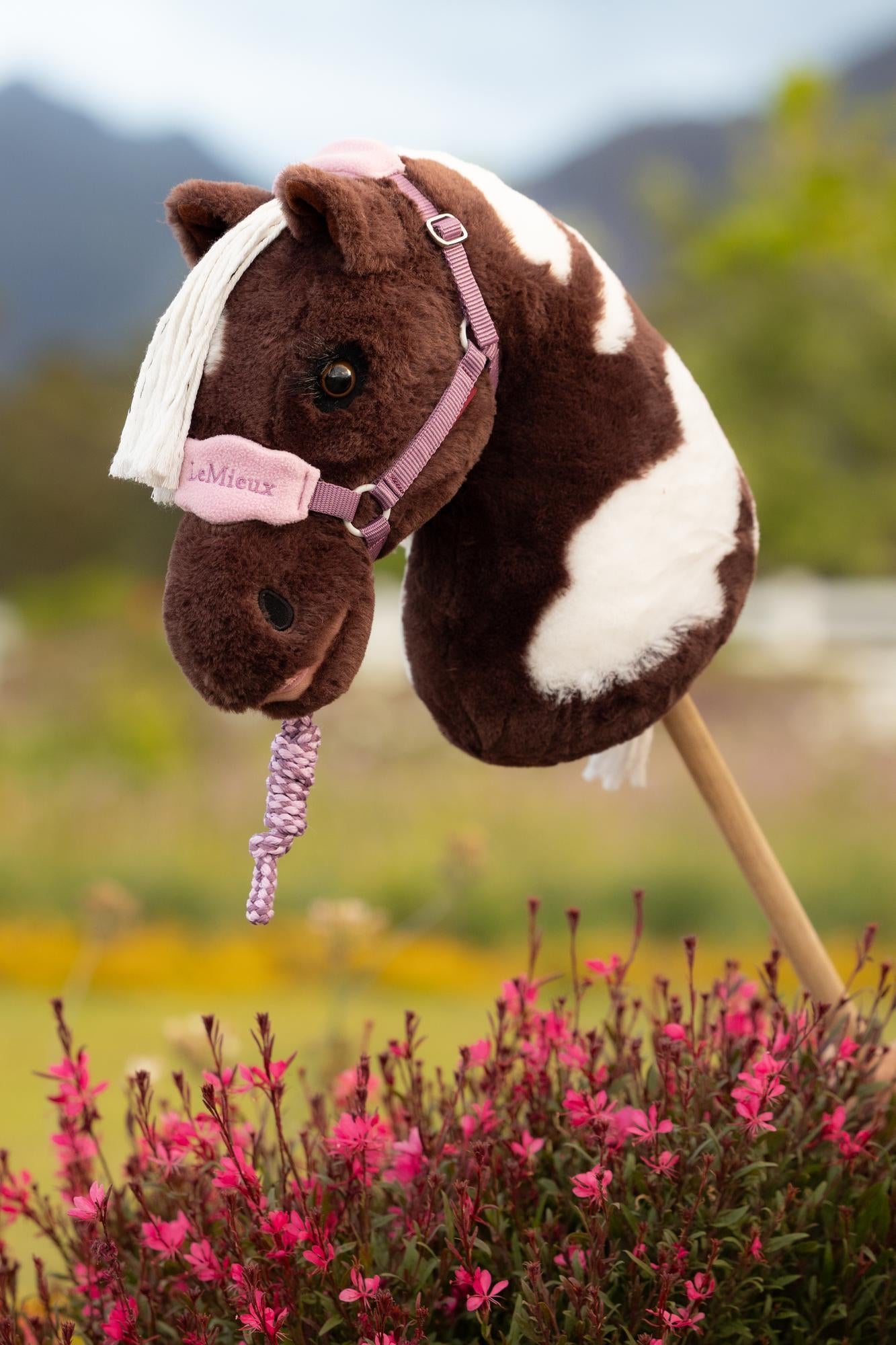 LeMieux SS26 Hobby Horse Vogue Headcollar & Leadrope