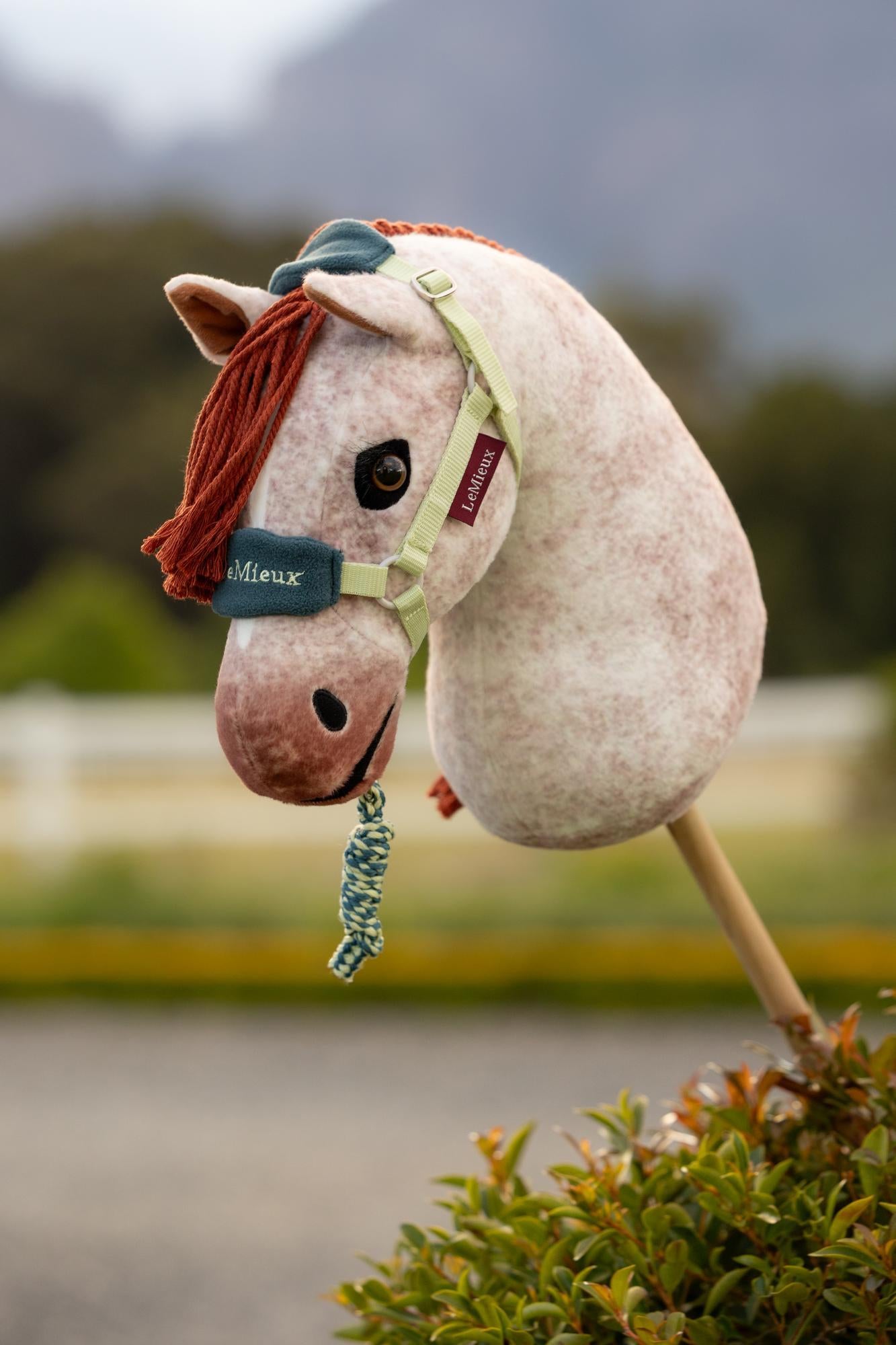 LeMieux SS26 Hobby Horse Vogue Headcollar & Leadrope
