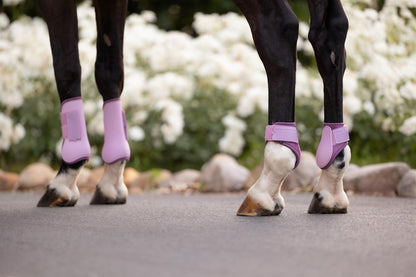 LeMieux SS26 Arika Fetlock Boot