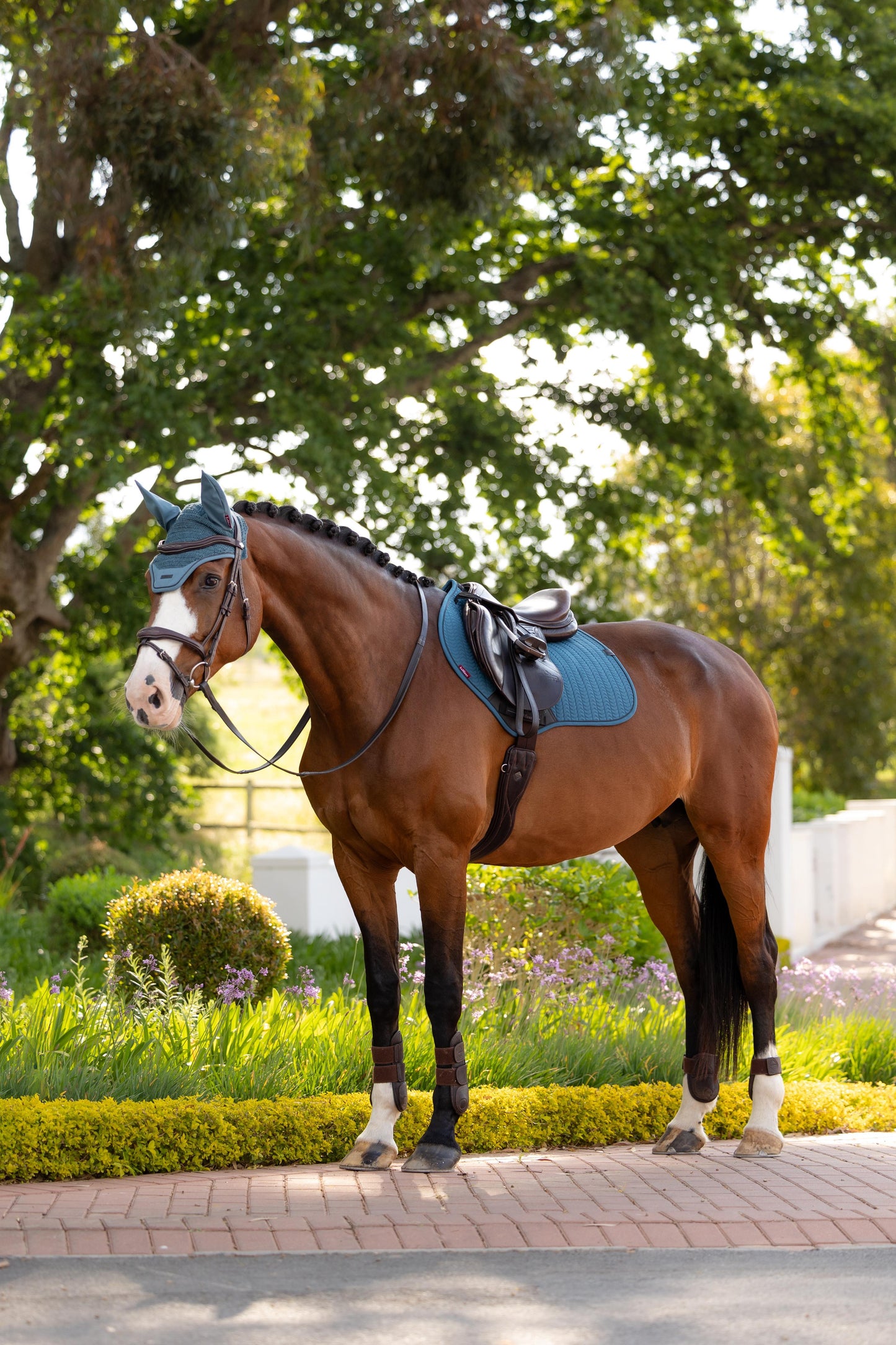 LeMieux SS26 Essence Close Contact Square