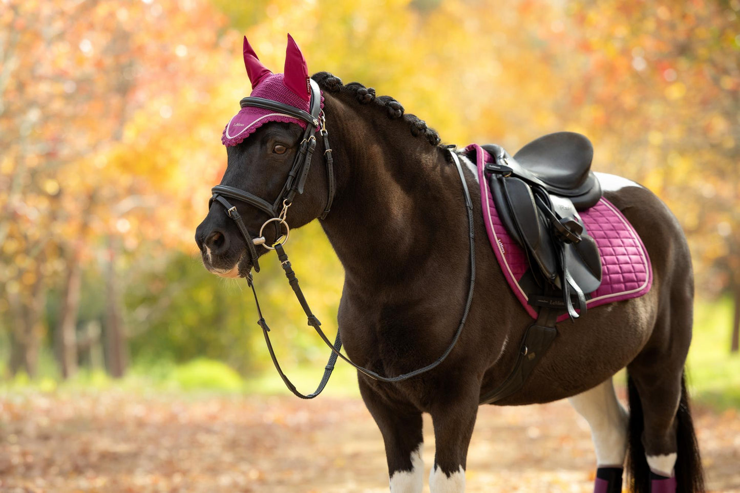 LeMieux AW26 Classic Fly Hood