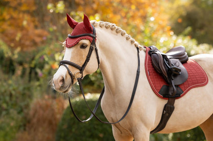 LeMieux AW26 Classic Fly Hood