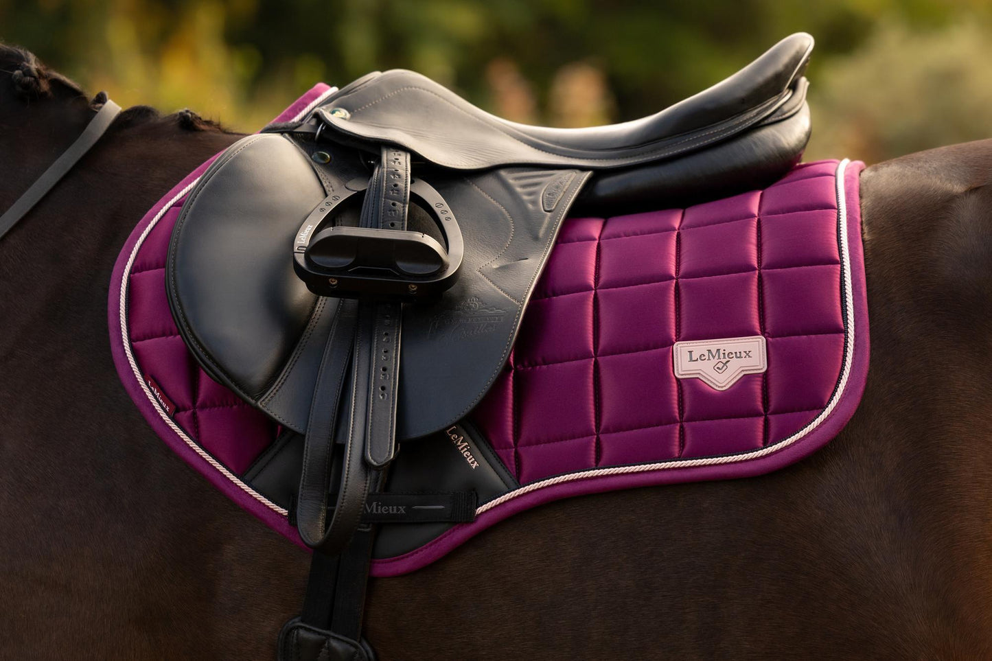 LeMieux AW26 Loire Classic Close Contact Square