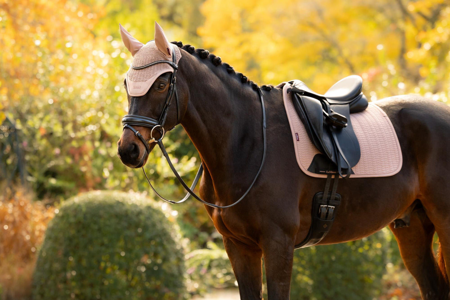LeMieux AW26 Essence Fly Hood