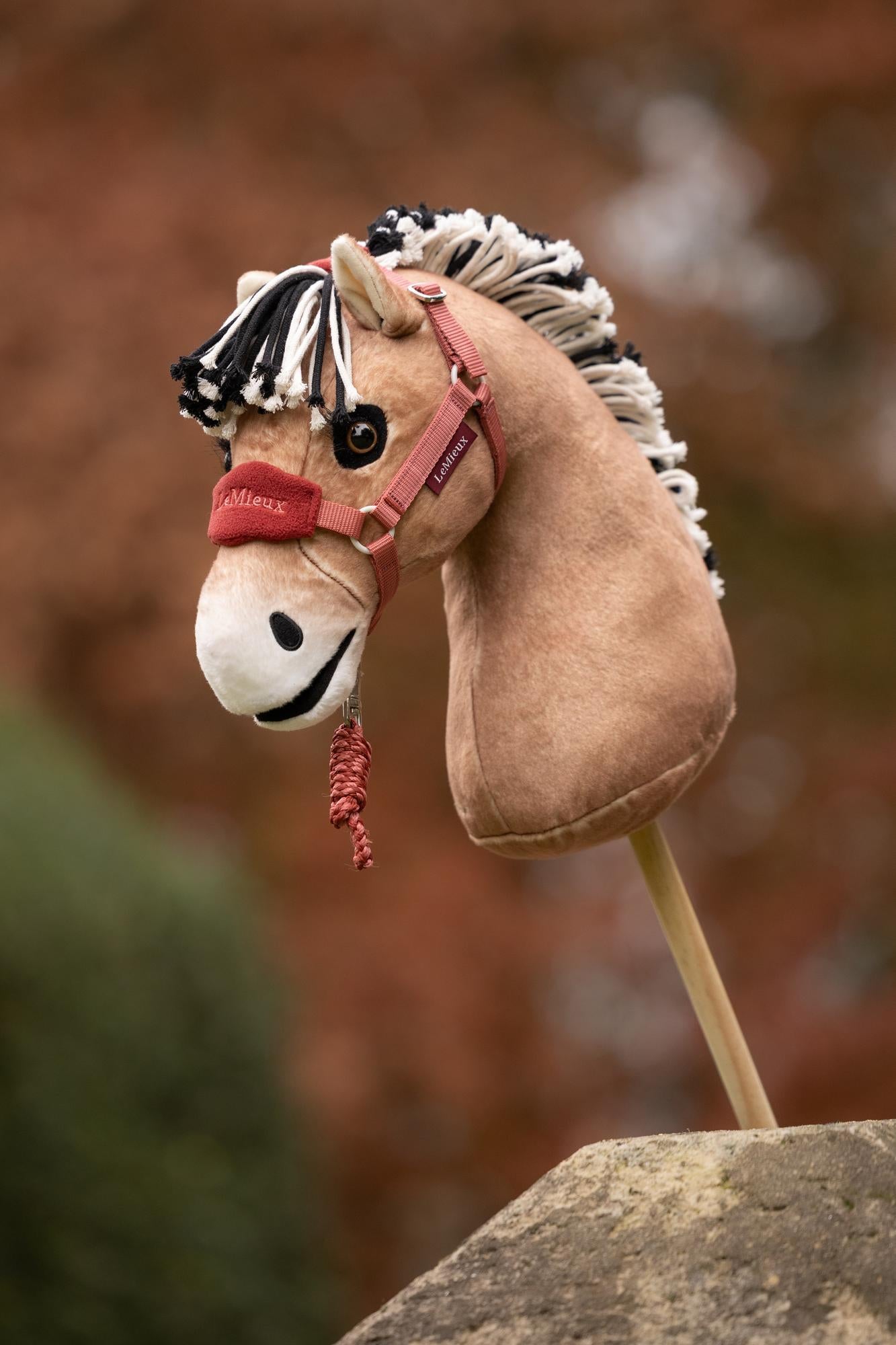 LeMieux AW26 Hobby Horse Vogue Headcollar & Leadrope