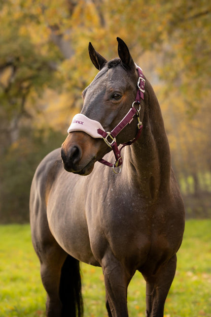 LeMieux AW26 Vogue Headcollar & Leadrope