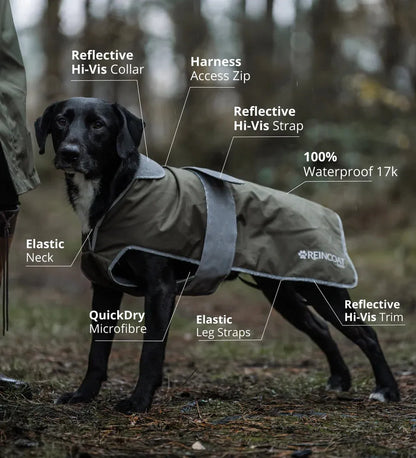 Reincoat Dog Coat