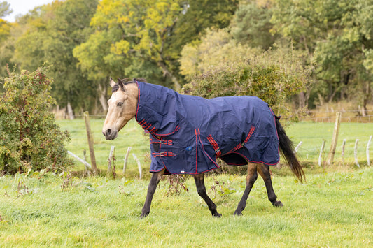 Storm Equine Combo Turnout Rug - Zero Fill
