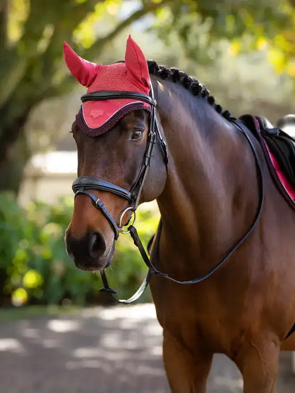 LeMieux AW25 Classic Fly Hood