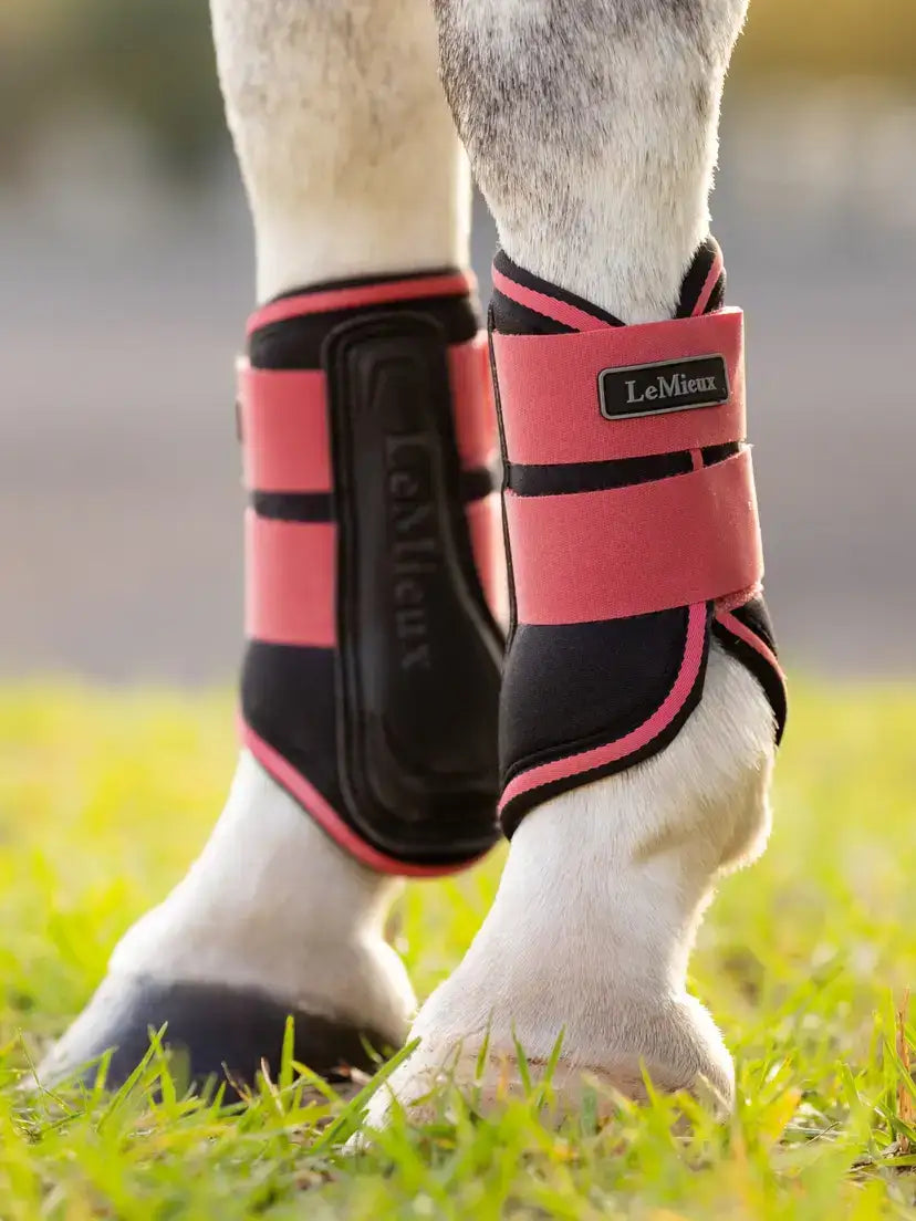 LeMieux AW25 Mini Grafter Brushing Boots