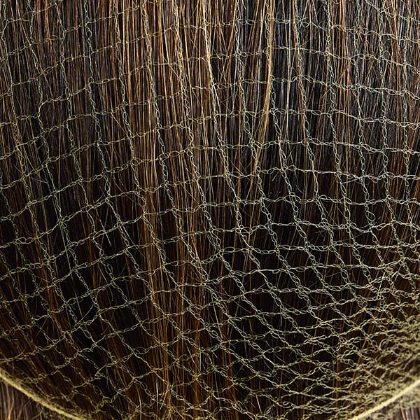 Elico Equestrian Hairnets (x2)