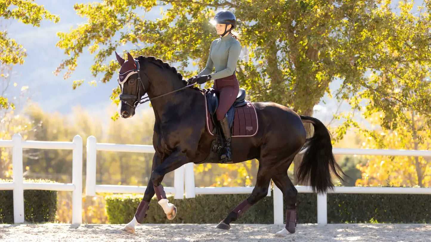 LeMieux AW25 Loire Classic Dressage Square