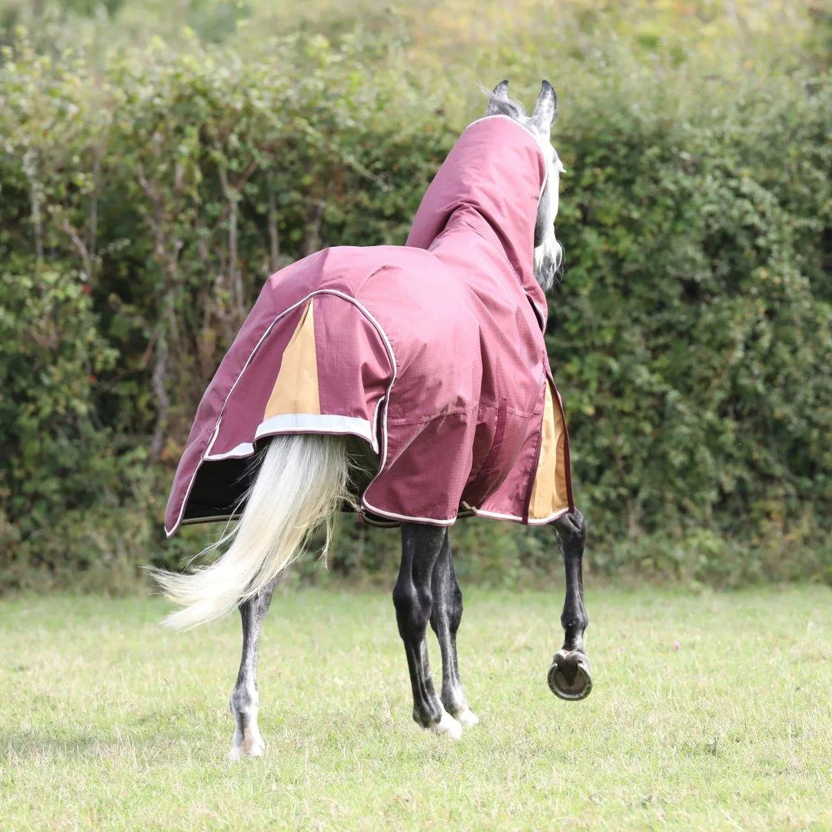 Highlander Plus 100 Combo Turnout Rug - Maroon - 5ft