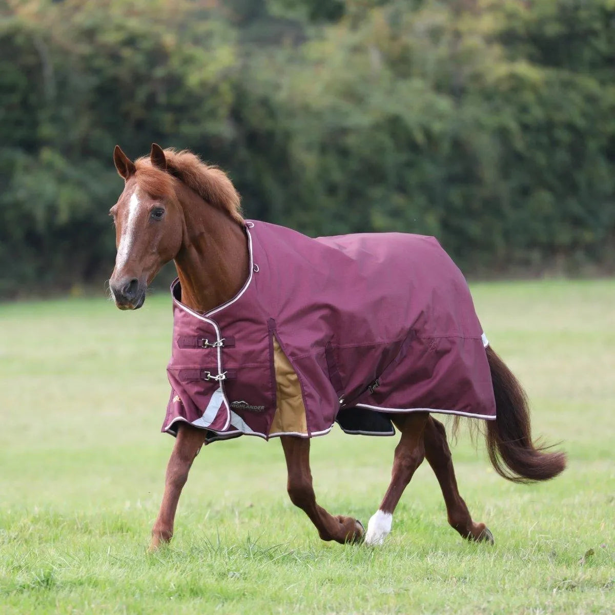Highlander Plus 100 Turnout Rug - Maroon - 5ft