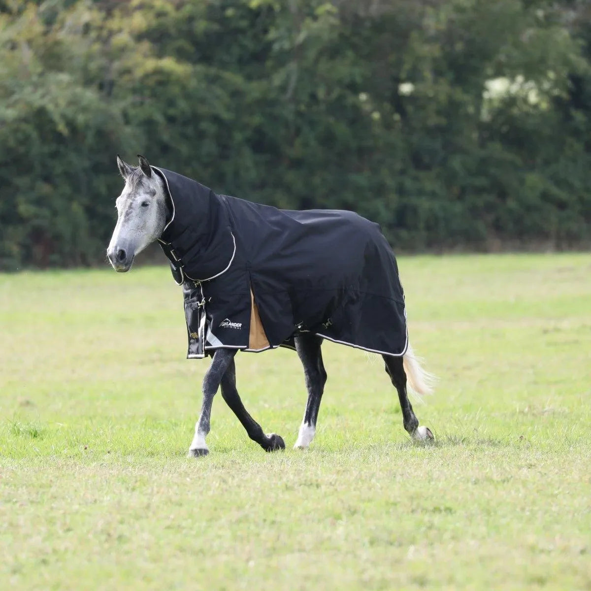 Highlander Plus 200 Combo Turnout Rug - Black - 5ft