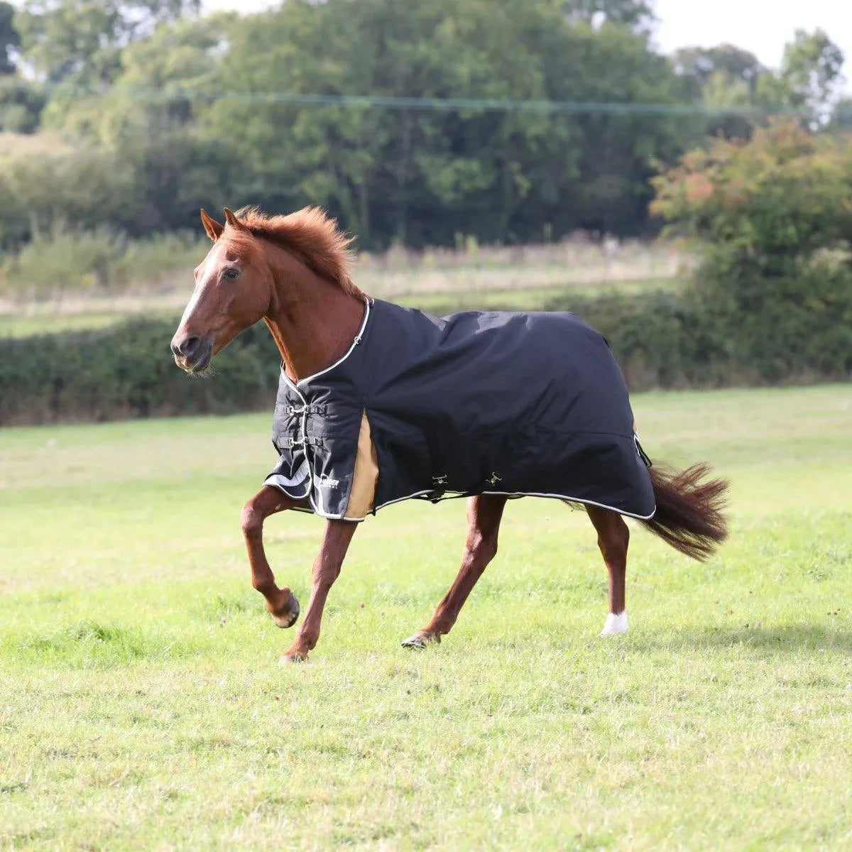 Highlander Plus 200 Turnout Rug - Black - 5ft