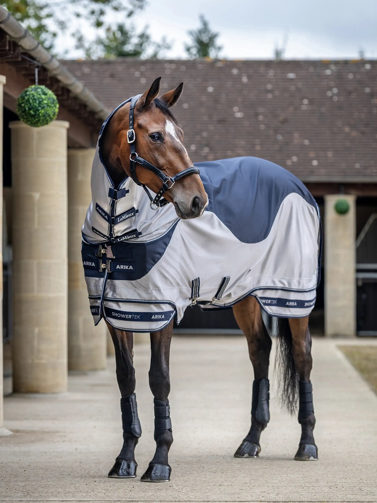 LeMieux SS24 Arika Shower-Tek Fly Rug