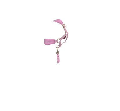 LeMieux SS25 Toy Pony Vogue Headcollar & Leadrope - Blossom