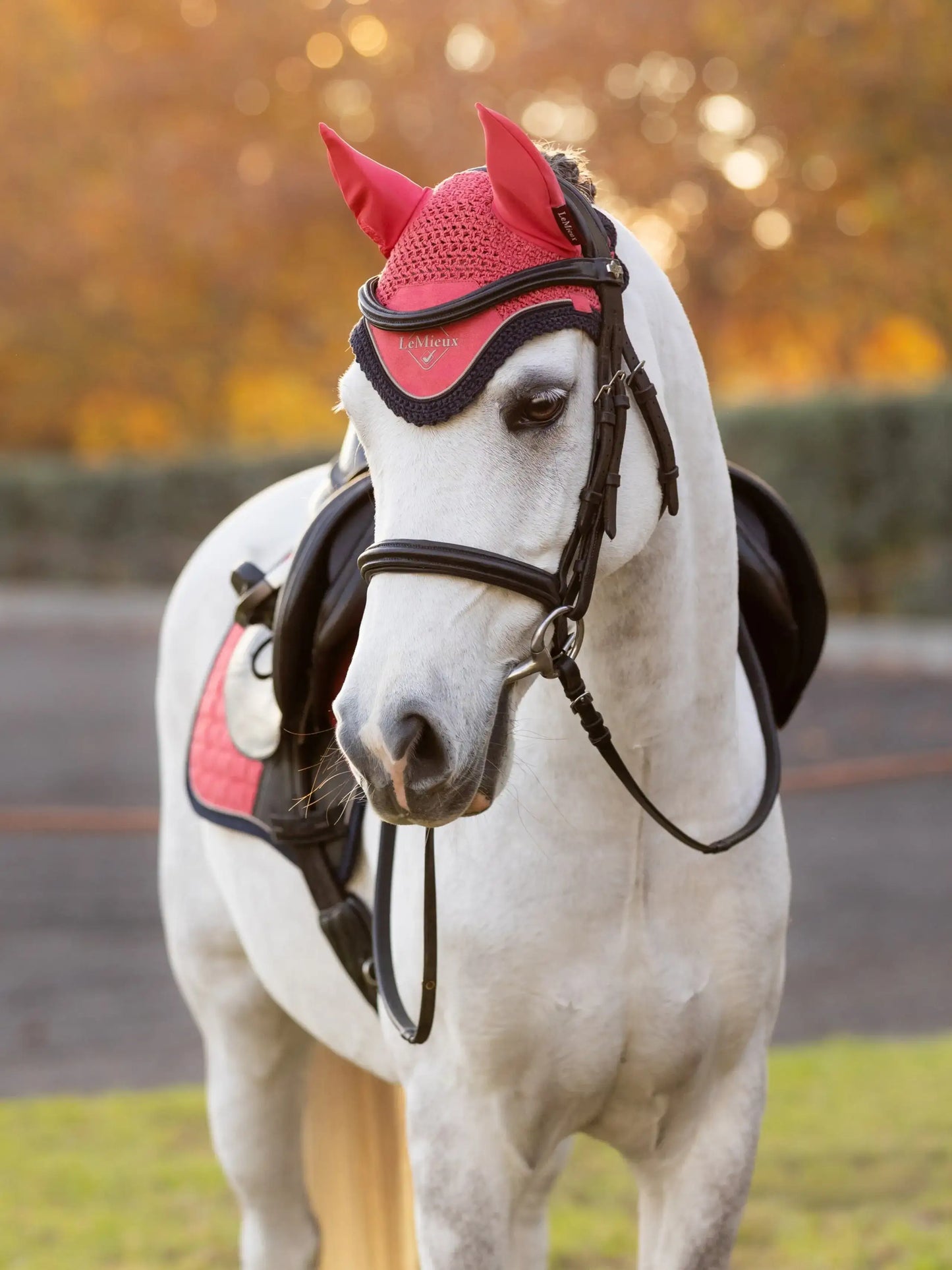 LeMieux AW25 Mini Classic Fly Hood