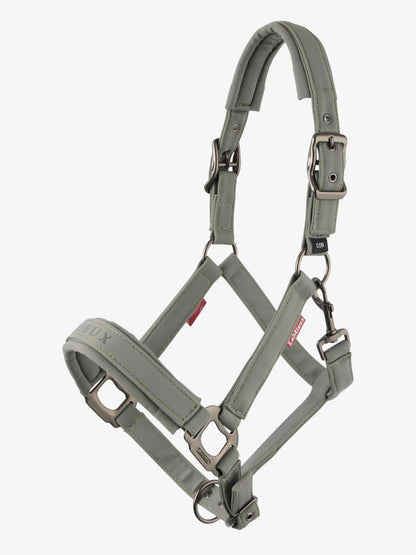 LeMieux AW25 Essence Headcollar