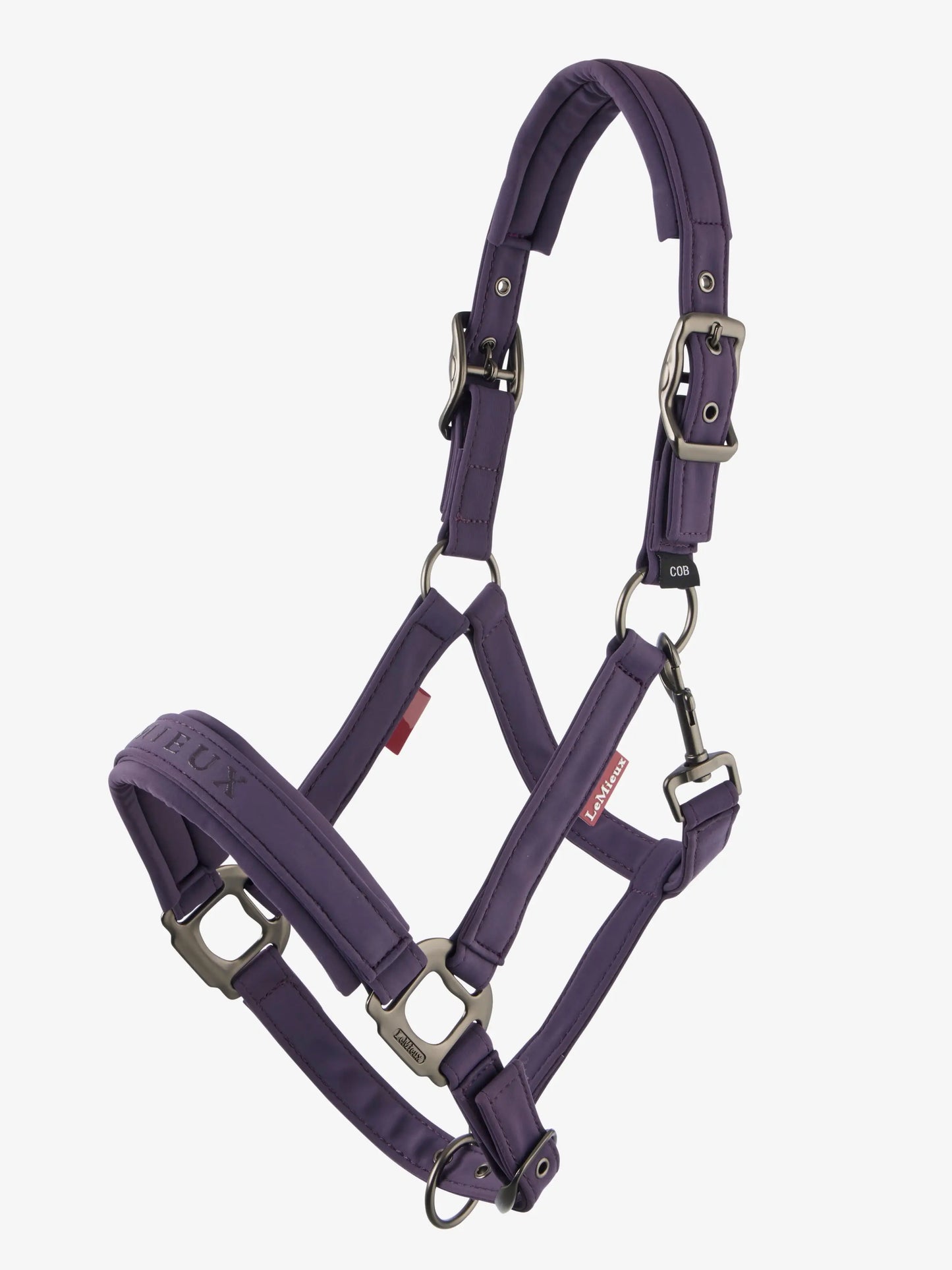 LeMieux AW25 Essence Headcollar
