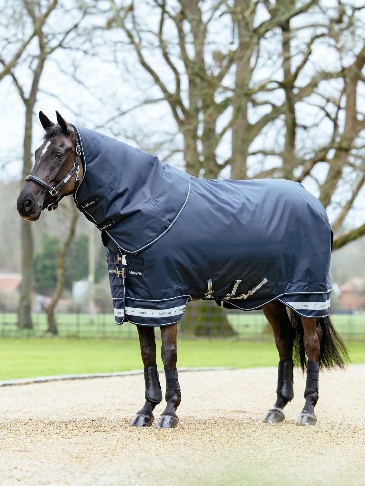 LeMieux AW25 Arika Storm-Tek Rug 350g - Navy