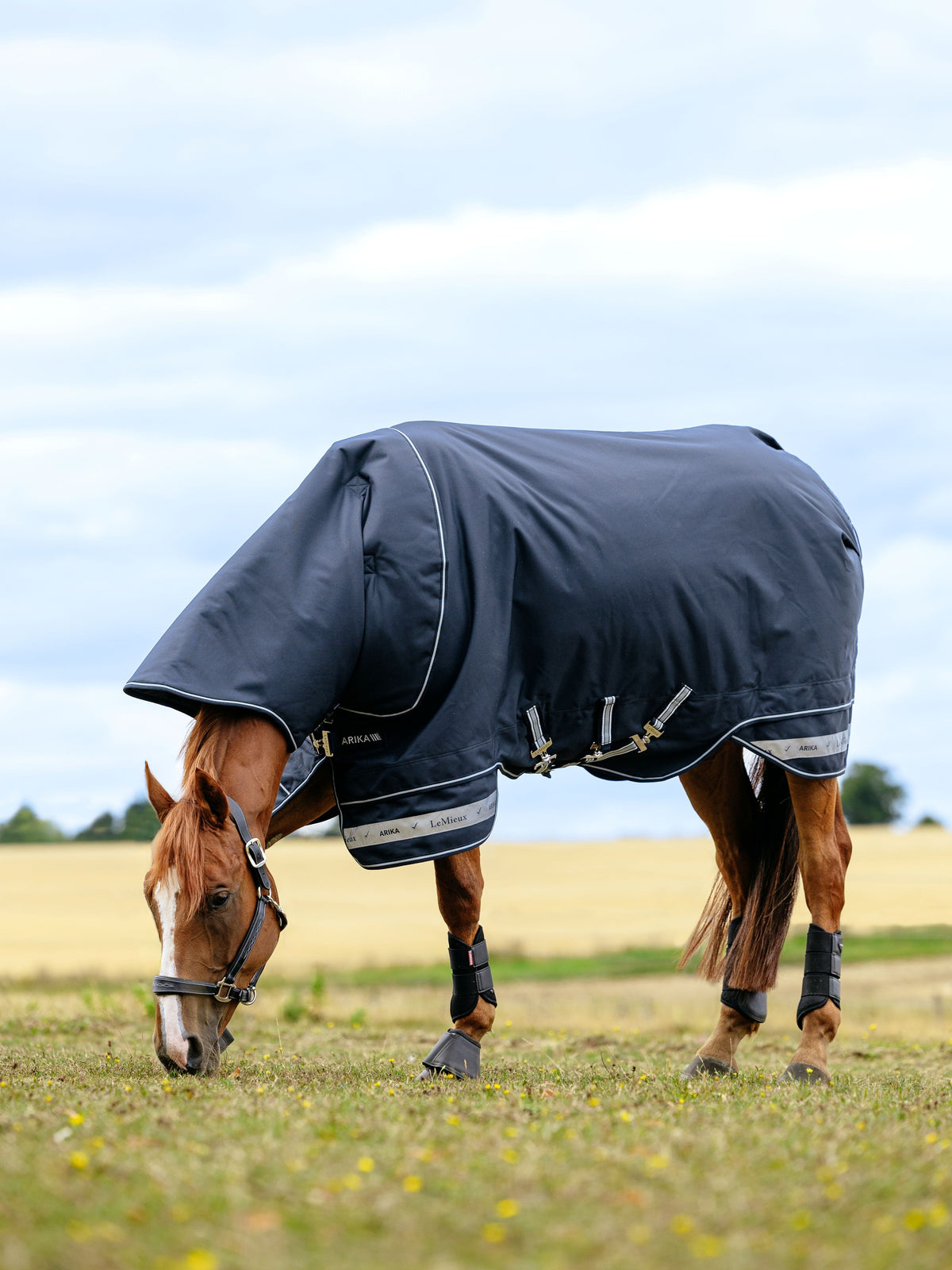LeMieux AW25 Arika Storm-Tek Rug 350g - Navy